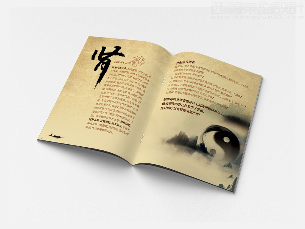 隴藥皇甫謐制藥股份有限公司金剛片產(chǎn)品樣本手冊(cè)內(nèi)頁(yè)設(shè)計(jì)