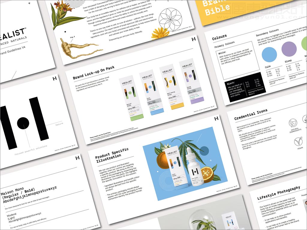 科學(xué)與自然完美融合的Healist保健品品牌vi手冊(cè)設(shè)計(jì)